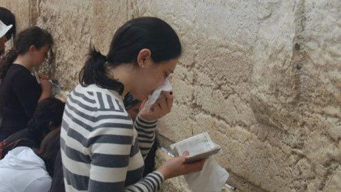 娱乐吃瓜君17集,揭秘娱乐圈背后的惊人真相  第3张