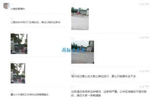 今天中午爆料了吗视频,今日热点事件深度解析