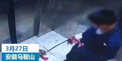 辽宁男孩爆料视频最新,揭秘惊人真相! 第2张 辽宁男孩爆料视频最新,揭秘惊人真相! 第2张