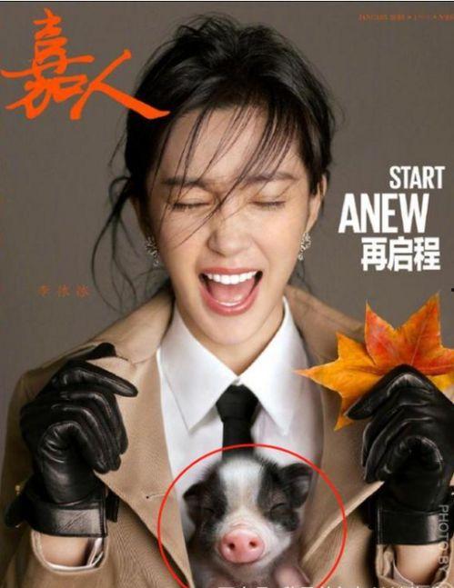 今日热搜明星爆料新闻,当红明星真实面目曝光,网友热议不断! 第3张 今日热搜明星爆料新闻,当红明星真实面目曝光,网友热议不断! 第3张